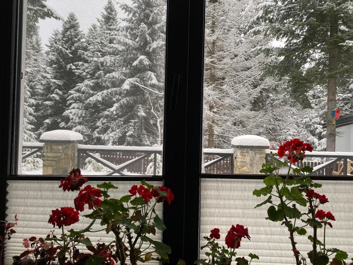 Феєрія Лісу Aparthotel Skhidnytsia Luaran gambar