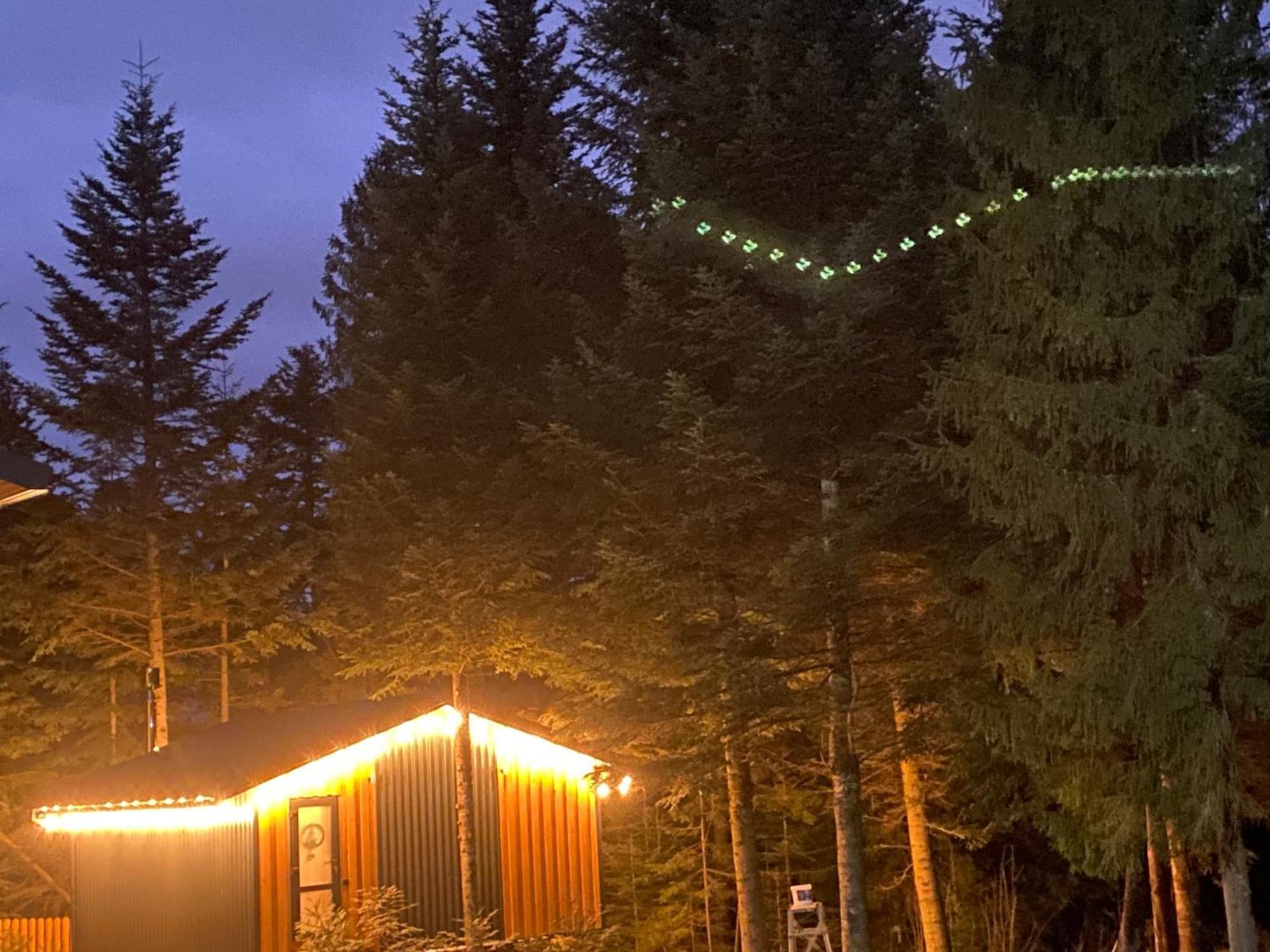 Феєрія Лісу Aparthotel Skhidnytsia Luaran gambar