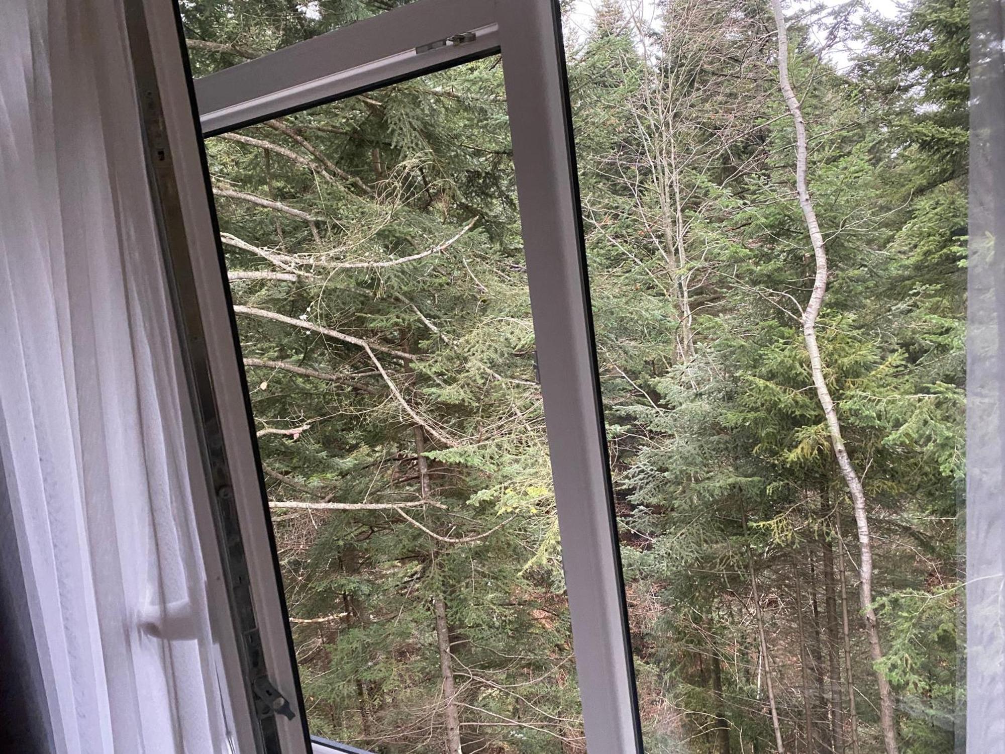 Феєрія Лісу Aparthotel Skhidnytsia Luaran gambar