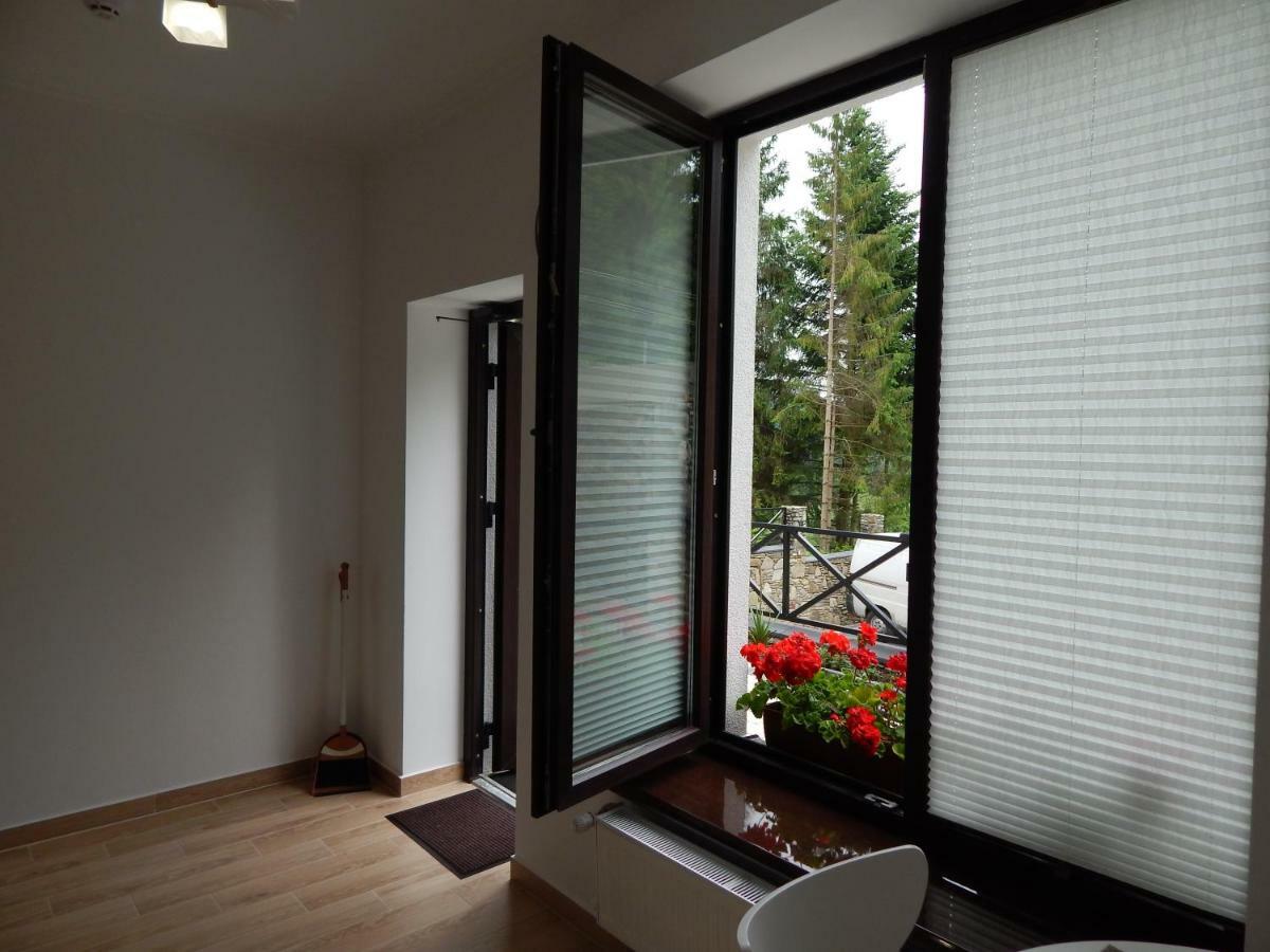 Феєрія Лісу Aparthotel Skhidnytsia Luaran gambar